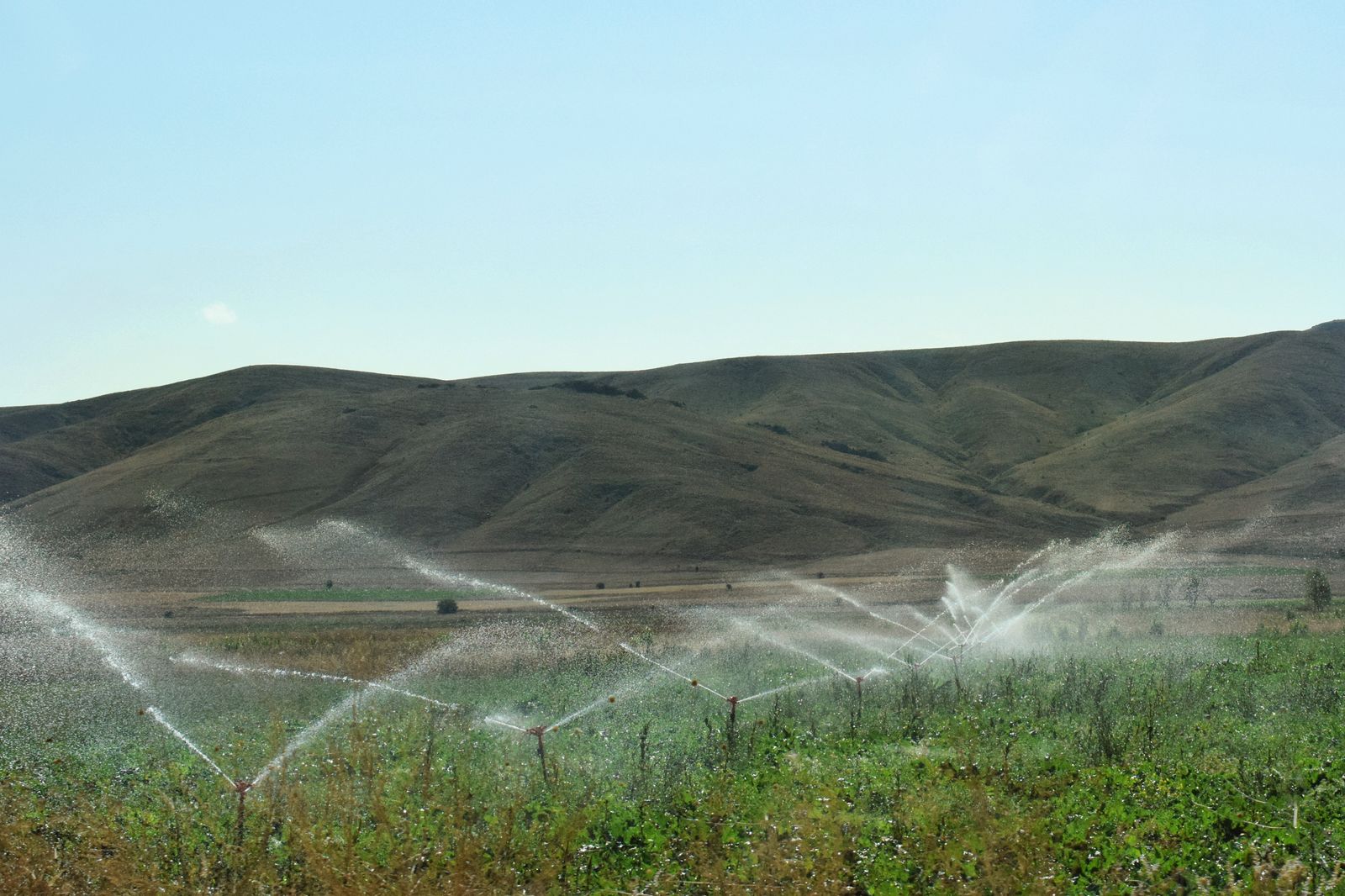 Field sprinklers. Stock photograph, not a Samanga site